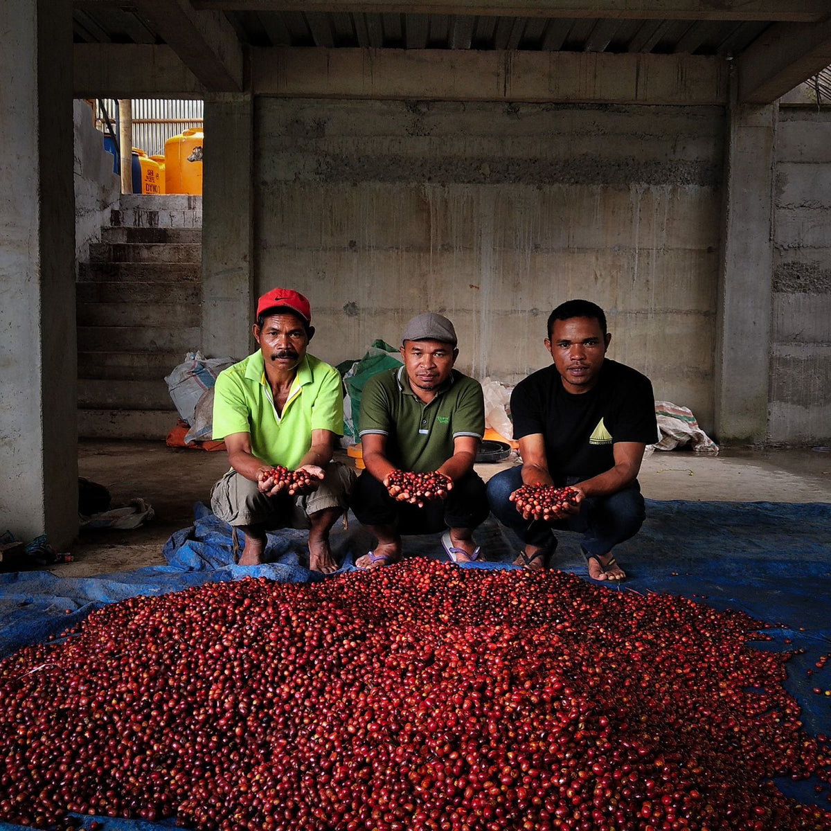 Sweet & Funky - Indonesia Tuang Coffee